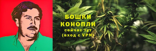 mdpv Бородино
