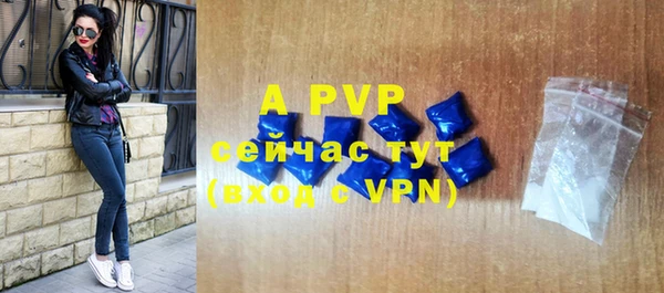 mdpv Бородино