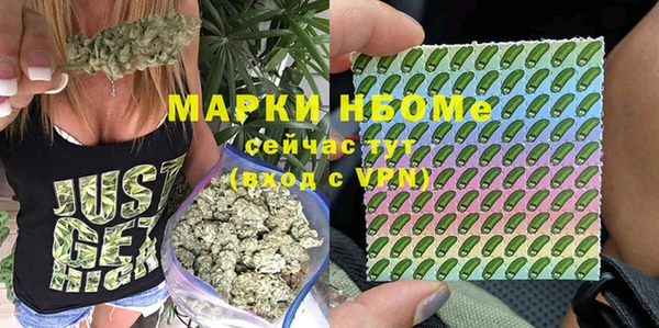 mdpv Бородино