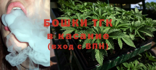 mdpv Бородино
