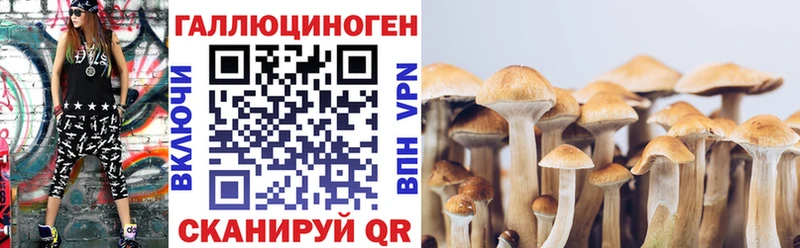 omg рабочий сайт  Губкин  Галлюциногенные грибы прущие грибы 